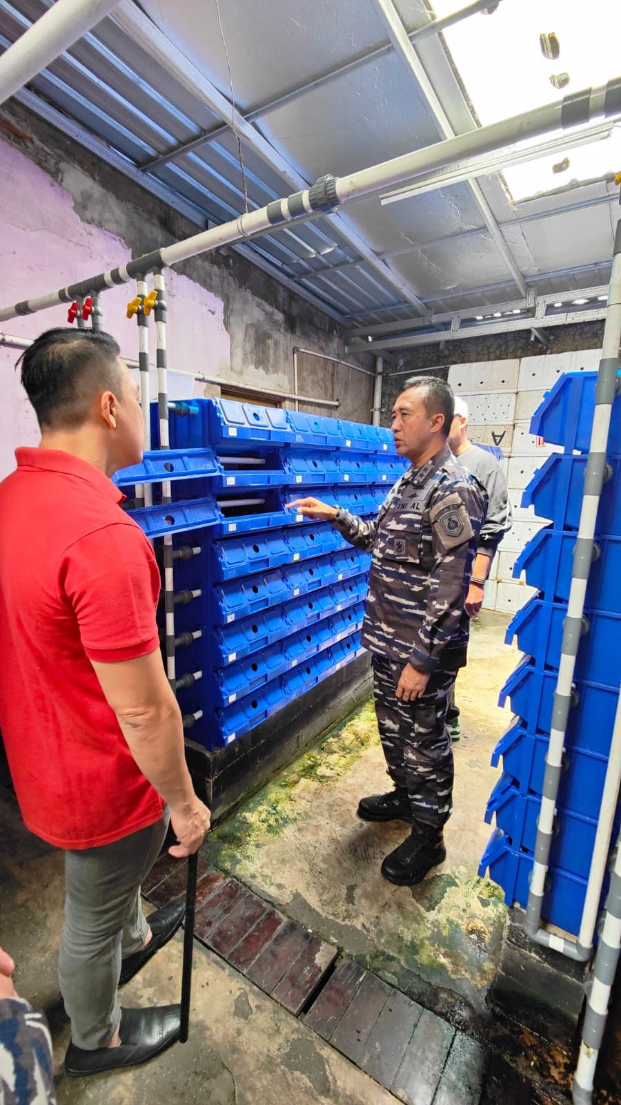 Asisten Potensi Maritim TNI AL Mayjen TNI (Mar) Nur Alamsyah melakukan peninjauan langsung ke pengembang kepiting Mangrove sistem vertical crab house