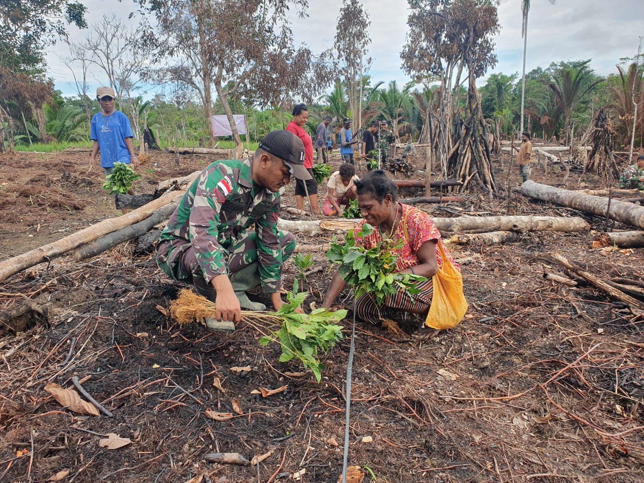 Satgas Yonif 143/TWEJ Lakukan Penanaman Bibit Kopi bersama Masyarakat Papua