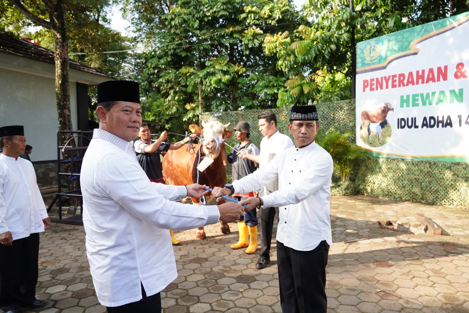Panglima TNI Menyerahkan Kurban Sapi Seberat 1,44 Ton