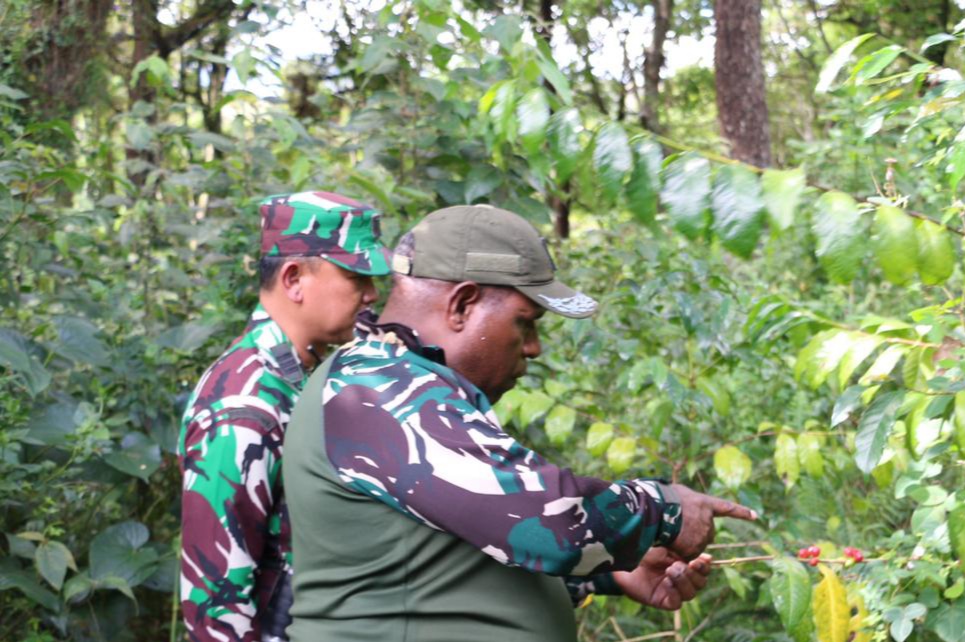Peduli Petani Kopi Pegunungan, Dandim 1702:JWY Kunjungi Lahan Perkebunan Kopi