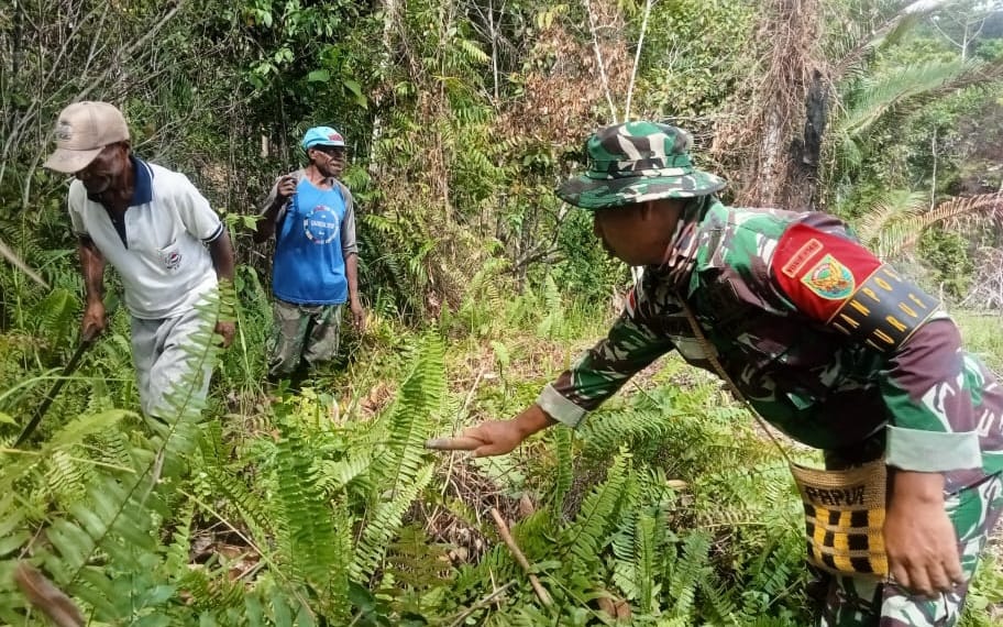 Bersama Warga, Satgas Yonif 143/TWEJ Siapkan Lumbung Kopi di Papua