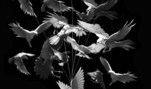 Buku Sosial-Demokrasi, karya Imam Yudotomo. Foto: indomaritim.com/Dokumentasi Ons Untoro