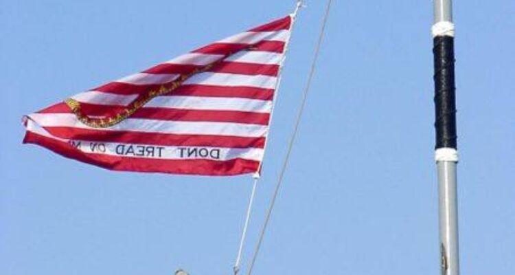 Ilustrasi ular-ular perang Angkatan Laut. Foto: Indomaritim.com/Isti