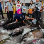 Ilustrasi laut sebagai masa depan. Foto Antara