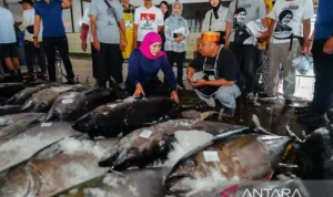 Ilustrasi laut sebagai masa depan. Foto Antara
