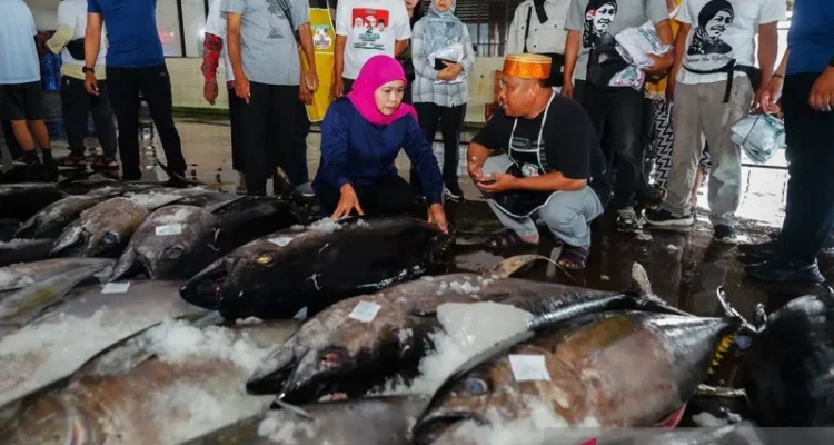 Ilustrasi laut sebagai masa depan. Foto Antara