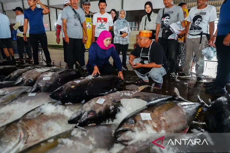 Ilustrasi laut sebagai masa depan. Foto Antara Ilustrasi laut sebagai masa depan. Foto Antara