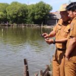 Petugas Pemkab meninjau Desa Ambulu, Kecamatan Losari, Cirebon yang sering dilanda rob. Foto Antara