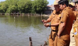 Petugas Pemkab meninjau Desa Ambulu, Kecamatan Losari, Cirebon yang sering dilanda rob. Foto Antara Petugas Pemkab meninjau Desa Ambulu, Kecamatan Losari, Cirebon yang sering dilanda rob. Foto Antara