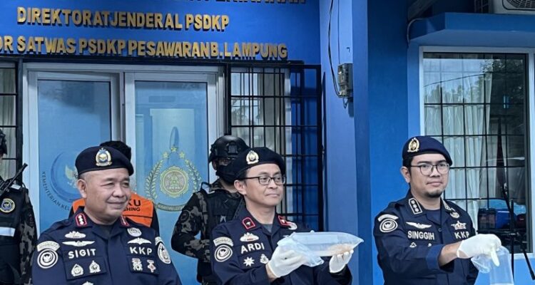 Petugas dari Kementerian Kelautan dan Perikanan memperlihatkan benih bening lobster (BBL) ilegal yang berhasil diamankan di Provinsi Lampung dengan nilai sekitar Rp4 miliar. Foto Antara