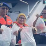 Ikan Napoleon yang dilepasliarkan di perairan Pulau Panggang, Kepulauan Seribu. Foto Antara