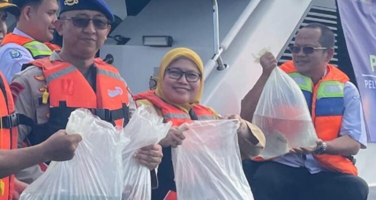 Ikan Napoleon yang dilepasliarkan di perairan Pulau Panggang, Kepulauan Seribu. Foto Antara