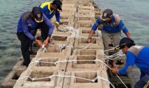 Pekerja menyelesaikan pembuatan tanggung pemecah gelombang di Pulau Kelapa Dua, Kepulauan Seribu. Foto Antara