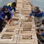Pekerja menyelesaikan pembuatan tanggung pemecah gelombang di Pulau Kelapa Dua, Kepulauan Seribu. Foto Antara
