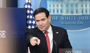 Menteri Luar Negeri AS Marco Rubio. Foto Antara