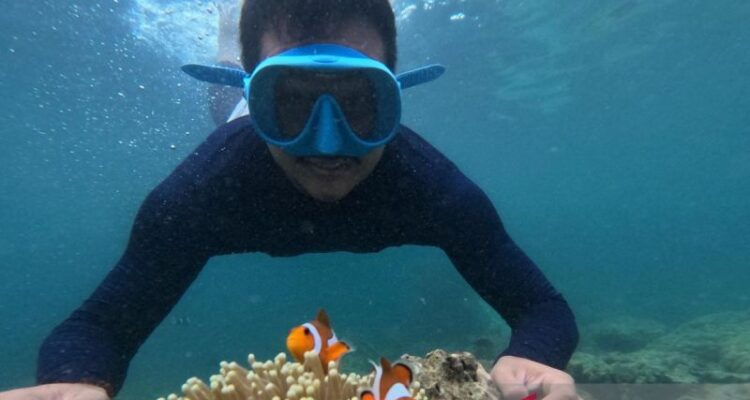 Snorkling di Pulau Pahawang di Kecamatan Punduh Pidada, Kabupaten Pesawaran, Lampung. Foto Antara