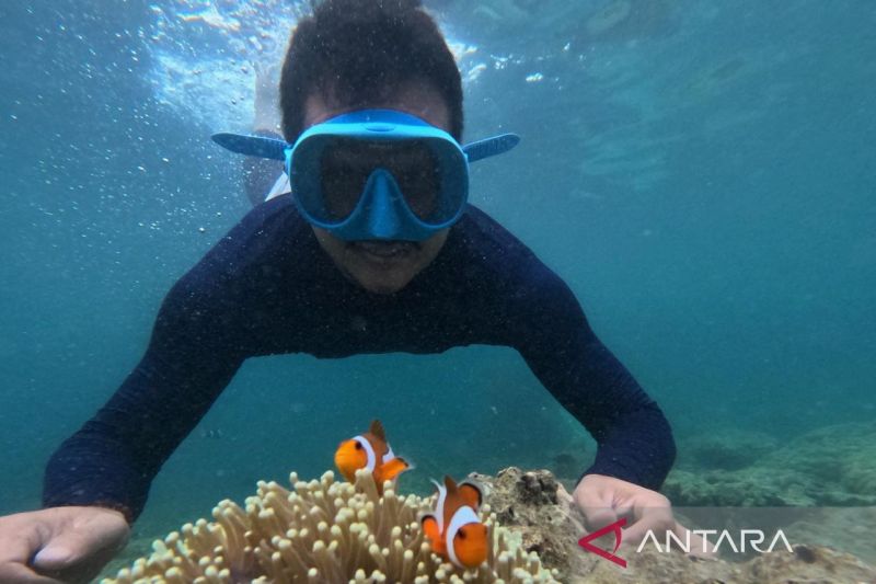 Snorkling di Pulau Pahawang di Kecamatan Punduh Pidada, Kabupaten Pesawaran, Lampung. Foto Antara