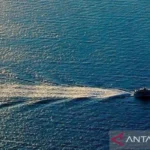 Ilustrasi - Laut China Selatan. (ANTARA/Anadolu/py.)
