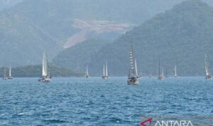 Armada Sumud Flotilla. Foto Antara