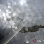 Pesawat tempur Inggris, Typhoon. Foto Antara