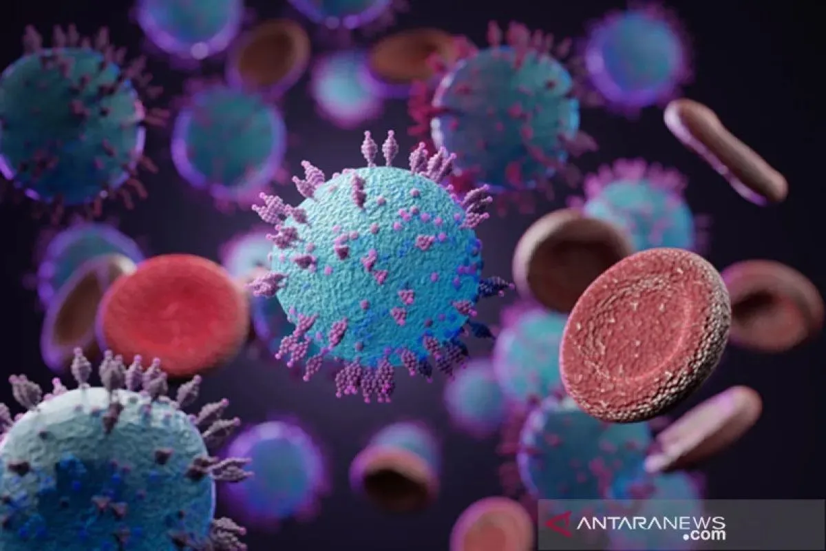 Ilustrasi wabah hantavirus. Antara/HO/Istoc