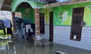 Rumah salah satu warga di Desa Pantiharjo, Kecamatan Kaliori, Kabupaten Rembang, Jawa Tengah, tergenang banjir rob, Sabtu (7/6/2026). Foto Antara