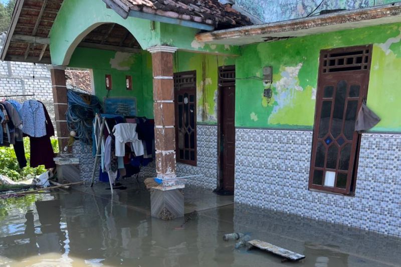 Rumah salah satu warga di Desa Pantiharjo, Kecamatan Kaliori, Kabupaten Rembang, Jawa Tengah, tergenang banjir rob, Sabtu (7/6/2026). Foto Antara