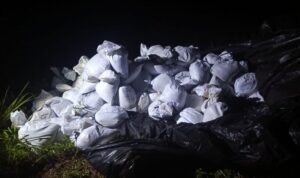 Karung berisi biji timah yang berhasil disita personel Lana Babel di wilayah pesisir Pantai Pangkul, Bangka, Rabu (24/6/2026) dini hari. Foto Antara