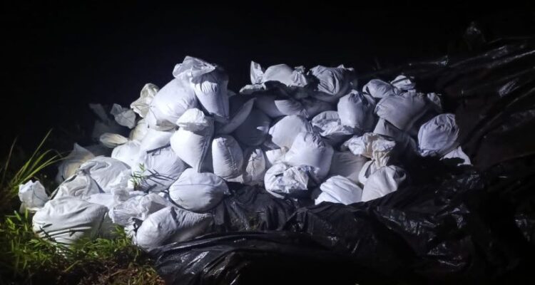 Karung berisi biji timah yang berhasil disita personel Lana Babel di wilayah pesisir Pantai Pangkul, Bangka, Rabu (24/6/2026) dini hari. Foto Antara