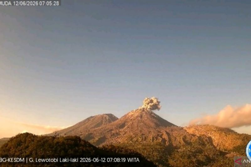 Mount Lewotobi Laki-laki in East Flores, East Nusa Tenggara, erupted on Friday (June 12, 2026) at 7:04 a.m. Antara Photo