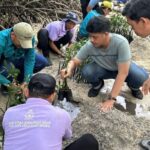 Petugas Suku Dinas Lingkungan Hidup Kepulauan Seribu menanam 500 bibit mangrove di Pulau Sabira, Kelurahan Pulau Harapan, Kecamatan Kepulauan Seribu Utara, Kabupaten Kepulauan Seribu, Sabtu (7/6/2026). Foto Antara