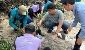 Petugas Suku Dinas Lingkungan Hidup Kepulauan Seribu menanam 500 bibit mangrove di Pulau Sabira, Kelurahan Pulau Harapan, Kecamatan Kepulauan Seribu Utara, Kabupaten Kepulauan Seribu, Sabtu (7/6/2026). Foto Antara Petugas Suku Dinas Lingkungan Hidup Kepulauan Seribu menanam 500 bibit mangrove di Pulau Sabira, Kelurahan Pulau Harapan, Kecamatan Kepulauan Seribu Utara, Kabupaten Kepulauan Seribu, Sabtu (7/6/2026). Foto Antara