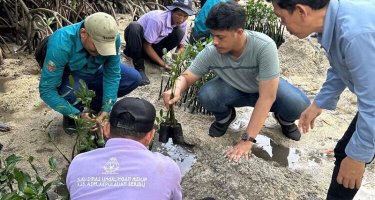 Petugas Suku Dinas Lingkungan Hidup Kepulauan Seribu menanam 500 bibit mangrove di Pulau Sabira, Kelurahan Pulau Harapan, Kecamatan Kepulauan Seribu Utara, Kabupaten Kepulauan Seribu, Sabtu (7/6/2026). Foto Antara