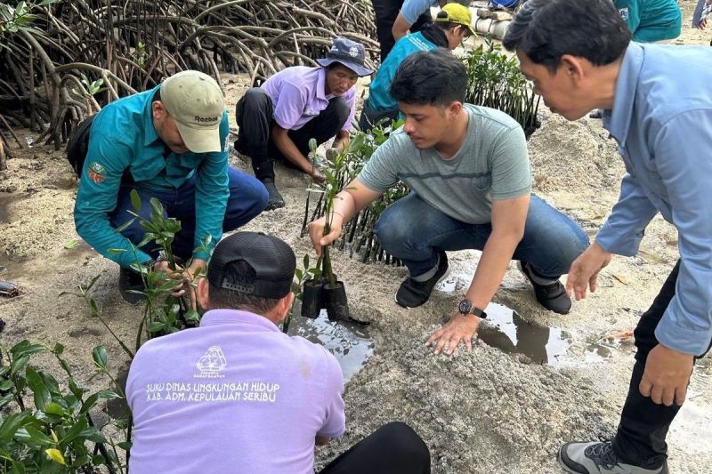 Petugas Suku Dinas Lingkungan Hidup Kepulauan Seribu menanam 500 bibit mangrove di Pulau Sabira, Kelurahan Pulau Harapan, Kecamatan Kepulauan Seribu Utara, Kabupaten Kepulauan Seribu, Sabtu (7/6/2026). Foto Antara