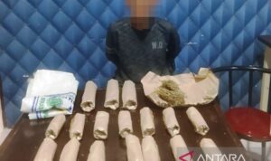 Personel Satuan Reserse Narkoba (Satresnarkoba) Polres Aceh Barat memperlihatkan seorang nelayan berinisial A (38), warga Desa Pasie Mesjid, Kecamatan Meureubo, diduga sebagai terduga pengedar belasan paket narkotika jenis ganja kering saat diamankan di mapolres setempat di Meulaboh, Jumat (19/6/2026). Foto Antara Personel Satuan Reserse Narkoba (Satresnarkoba) Polres Aceh Barat memperlihatkan seorang nelayan berinisial A (38), warga Desa Pasie Mesjid, Kecamatan Meureubo, diduga sebagai terduga pengedar belasan paket narkotika jenis ganja kering saat diamankan di mapolres setempat di Meulaboh, Jumat (19/6/2026). Foto Antara
