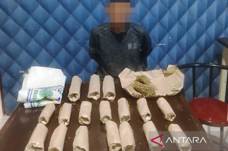 Personel Satuan Reserse Narkoba (Satresnarkoba) Polres Aceh Barat memperlihatkan seorang nelayan berinisial A (38), warga Desa Pasie Mesjid, Kecamatan Meureubo, diduga sebagai terduga pengedar belasan paket narkotika jenis ganja kering saat diamankan di mapolres setempat di Meulaboh, Jumat (19/6/2026). Foto Antara Personel Satuan Reserse Narkoba (Satresnarkoba) Polres Aceh Barat memperlihatkan seorang nelayan berinisial A (38), warga Desa Pasie Mesjid, Kecamatan Meureubo, diduga sebagai terduga pengedar belasan paket narkotika jenis ganja kering saat diamankan di mapolres setempat di Meulaboh, Jumat (19/6/2026). Foto Antara