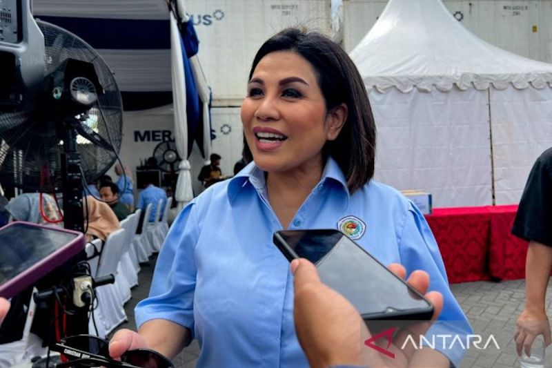 Ketua Umum DPP INSA Carmelita Hartoto. Foto Antara