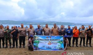 Kegiatam penanaman pohon oleh TNI-Polri dengan melibatkan masyarakat Kota Ambon, Maluku, sebagai upaya menjaga lingkungan pesisir di wilayah kepulauan. Foto Antara