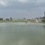 Situ Cileunca yang menjadi salah satu danau retensi alami penting sebagai sumber resapan air hujan di Bandung Selatan, Jawa Barat. Foto Antara