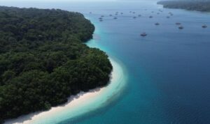 ISuasana Pulau Peucang di Kabupaten Pandeglang, Banten. Foto Antara Suasana Pulau Peucang di Kabupaten Pandeglang, Banten. Foto Antara