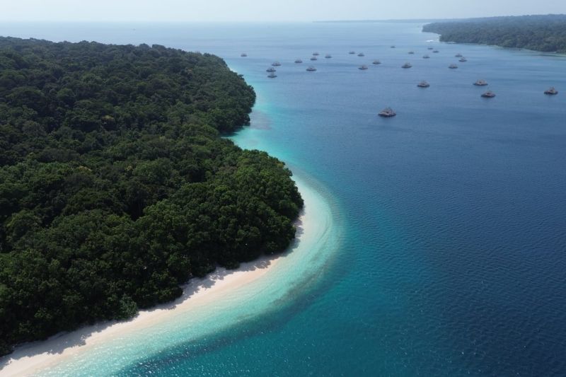 ISuasana Pulau Peucang di Kabupaten Pandeglang, Banten. Foto Antara Suasana Pulau Peucang di Kabupaten Pandeglang, Banten. Foto Antara
