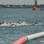 Sejumlah perenang memacu kecepatan saat mengikuti Kejuaraan Asia Renang Perairan Terbuka atau Asian Open Water Swimming (OWS) Championship 2026 nomor 5 kilometer putra di Jimbaran, Badung, Bali, Sabtu (13/6/2026). Foto Antara