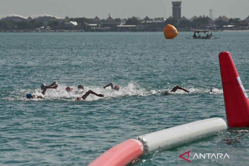 Sejumlah perenang memacu kecepatan saat mengikuti Kejuaraan Asia Renang Perairan Terbuka atau Asian Open Water Swimming (OWS) Championship 2026 nomor 5 kilometer putra di Jimbaran, Badung, Bali, Sabtu (13/6/2026). Foto Antara Sejumlah perenang memacu kecepatan saat mengikuti Kejuaraan Asia Renang Perairan Terbuka atau Asian Open Water Swimming (OWS) Championship 2026 nomor 5 kilometer putra di Jimbaran, Badung, Bali, Sabtu (13/6/2026). Foto Antara