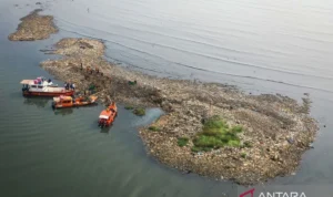 Ilustrasi foto udara petugas mengangkut sampah yang mengendap di perairan laut Jakarta, Rabu (3/6/2026). Foto Antara Ilustrasi foto udara petugas mengangkut sampah yang mengendap di perairan laut Jakarta, Rabu (3/6/2026). Foto Antara