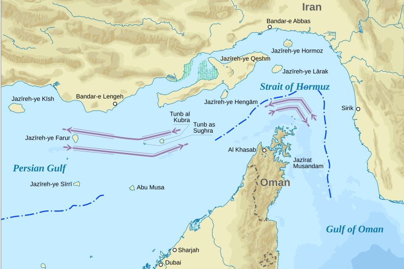 Peta Selat Hormuz. Foto Antara