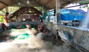 Aktivitas sejumlah nelayan di Pantai Melase, Kabupaten Lombok Barat, Provinsi Nusa Tenggara Barat, sedang memperbaiki jaring, Minggu (3/5/2026). Foto Antara