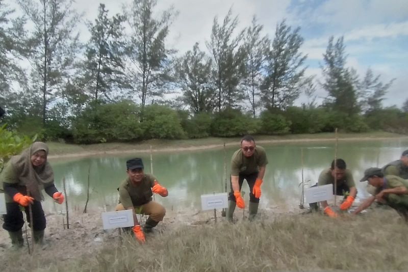 Kepala DLH Kabupaten Bangka Boy Yandra (dua dari kiri) melakukan penanaman bakau di Pantai Takari Rebo di Sungailiat, Rabu (10/6/2026). Foto Antara Kepala DLH Kabupaten Bangka Boy Yandra (dua dari kiri) melakukan penanaman bakau di Pantai Takari Rebo di Sungailiat, Rabu (10/6/2026). Foto Antara