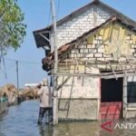 Kondisi banjir rob di Desa Tunggulsari, Kecamatan Tayu, Kabupaten Pati, Jawa Tengah. Foto Antara