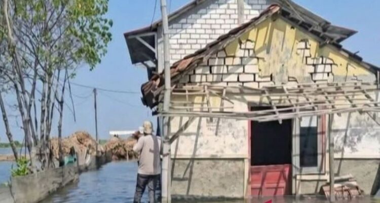 Kondisi banjir rob di Desa Tunggulsari, Kecamatan Tayu, Kabupaten Pati, Jawa Tengah. Foto Antara