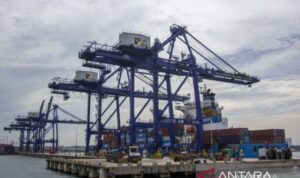 Ilustrasi kapal peti kemas SITC FUJIAN Hong Kong melakukan bongkar muat di Terminal Peti Kemas (TPK) Pelabuhan Batu Ampar, Batam, Kepulauan Riau, Selasa (18/11/2025). Foto Antara